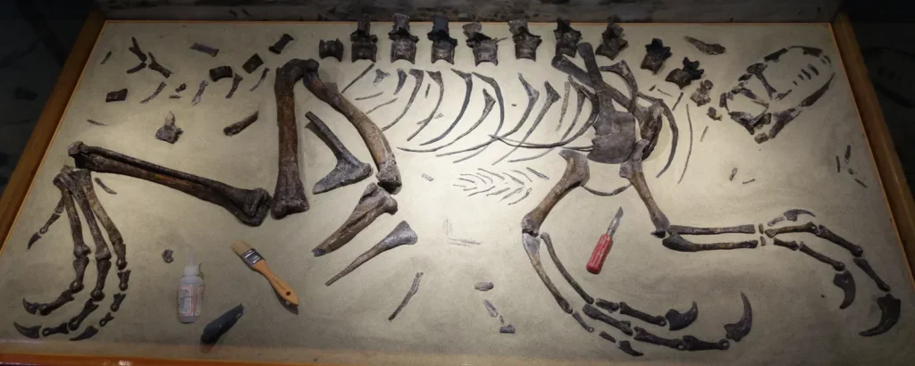 Ancient Cultures Worldwide Share Surprising Myths About Prehistoric Creatures