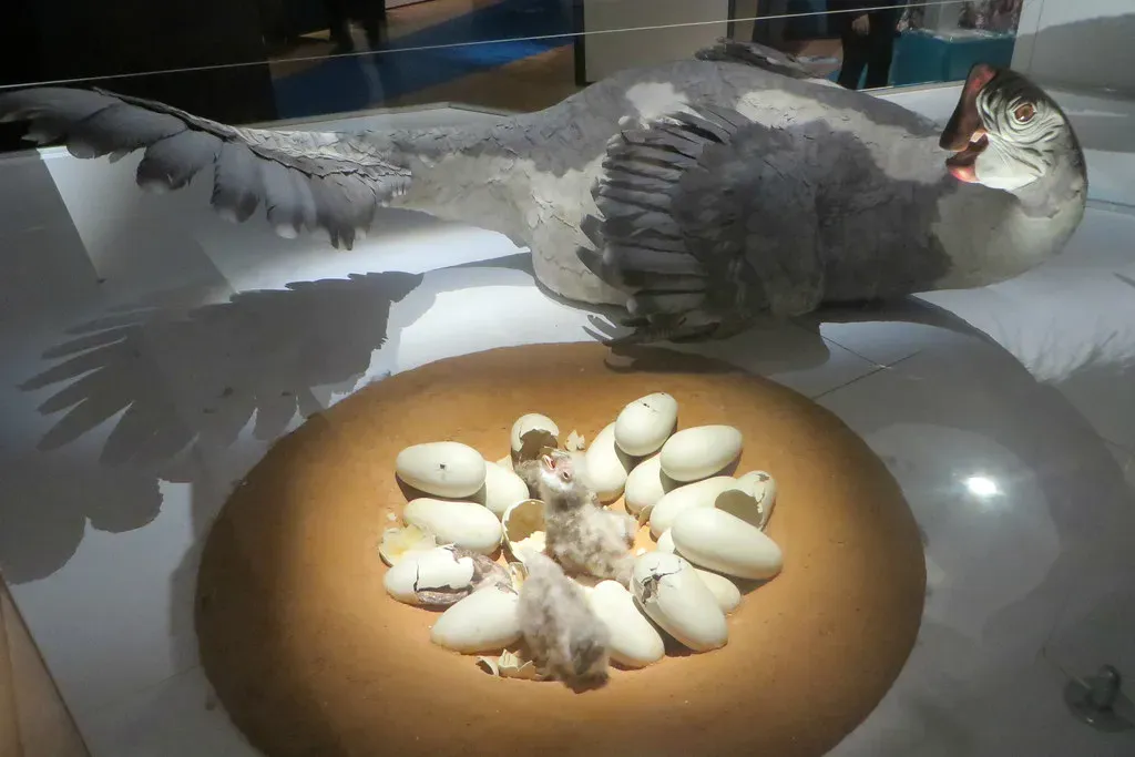 9 Fascinating Facts About the Evolution of Dinosaur Eggs and Nests