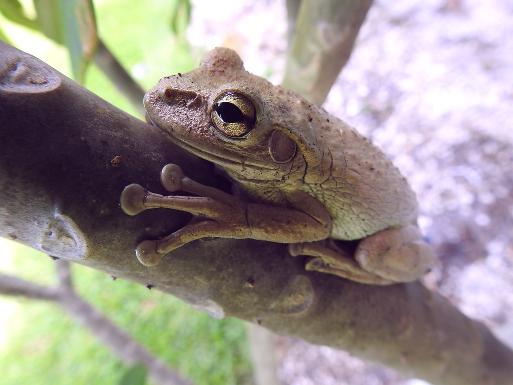 Coffee Chats Ignite a Cross-Border Bond