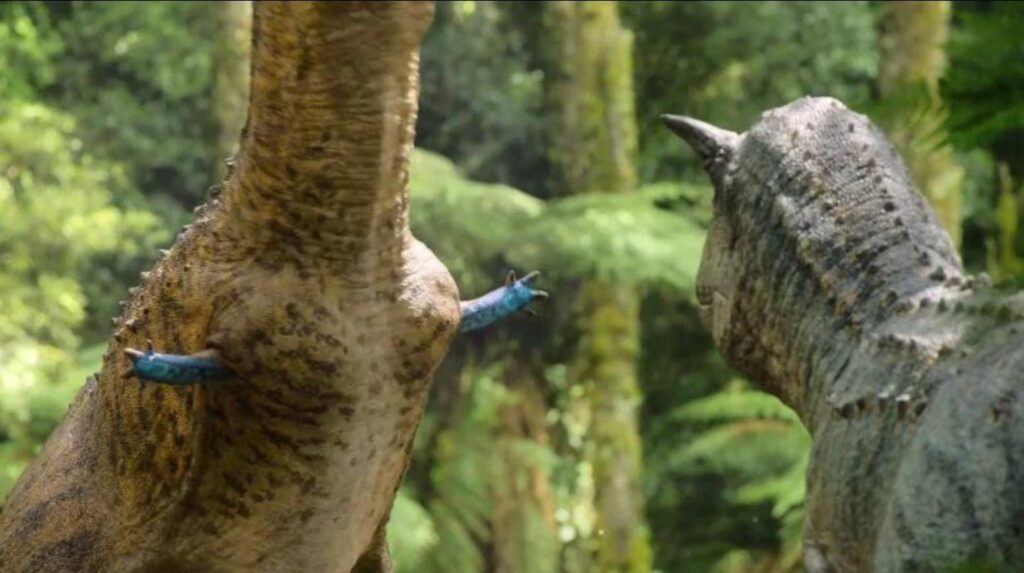 3. Courtship Displays and Mating Rituals: Dancing Before Dating