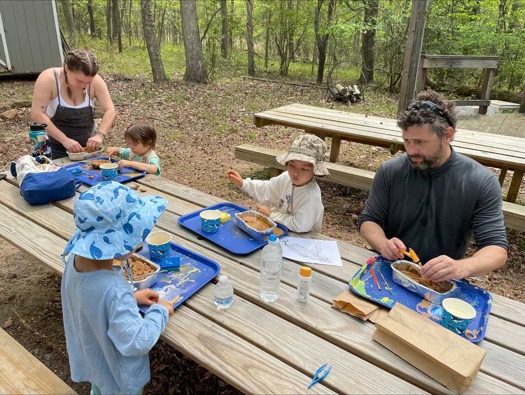 When the Sky Fell: How a Space Rock Ended the Age of Dinosaurs