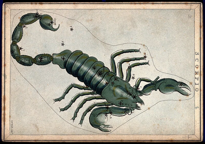 Scorpio: The Silent Stalker of the Zodiac