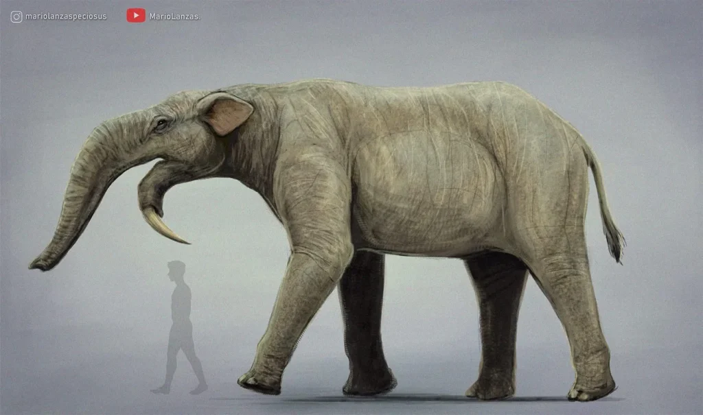 9. Deinotherium: The Downward-Tusked Earth Digger 