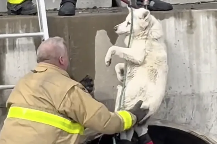 A Chilling Discovery Sparks Alarm