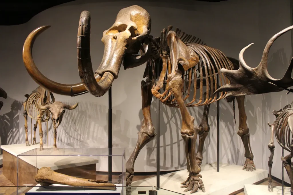 New Evidence Suggests Early Humans Coexisted with Ancient Megafauna in North America