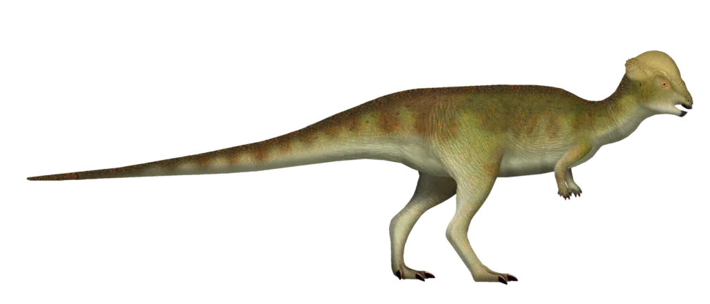 New Dinosaur Species Discovered in Montana Challenges Evolutionary Timelines