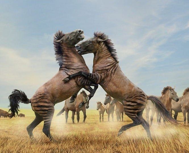 8. The Ancient North American Horse (Equus): The Original Mustang