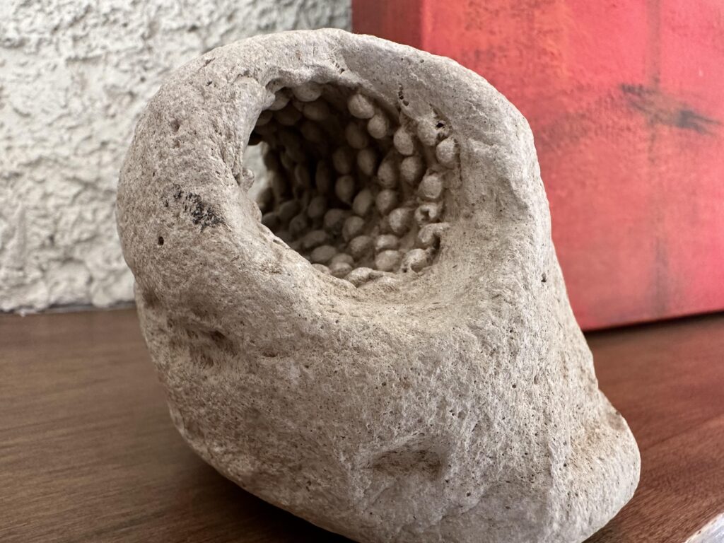 The Permian-Triassic Crisis and the Rise of the Underground World