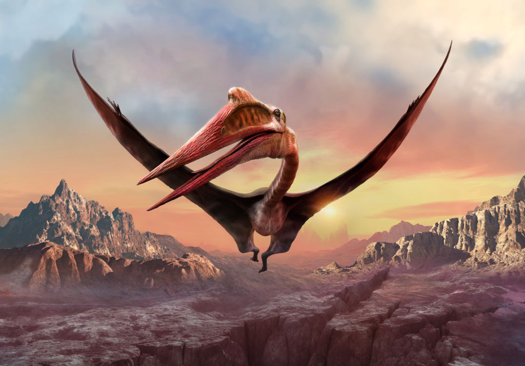 Quetzalcoatlus: The Pinnacle of Pterosaur Engineering