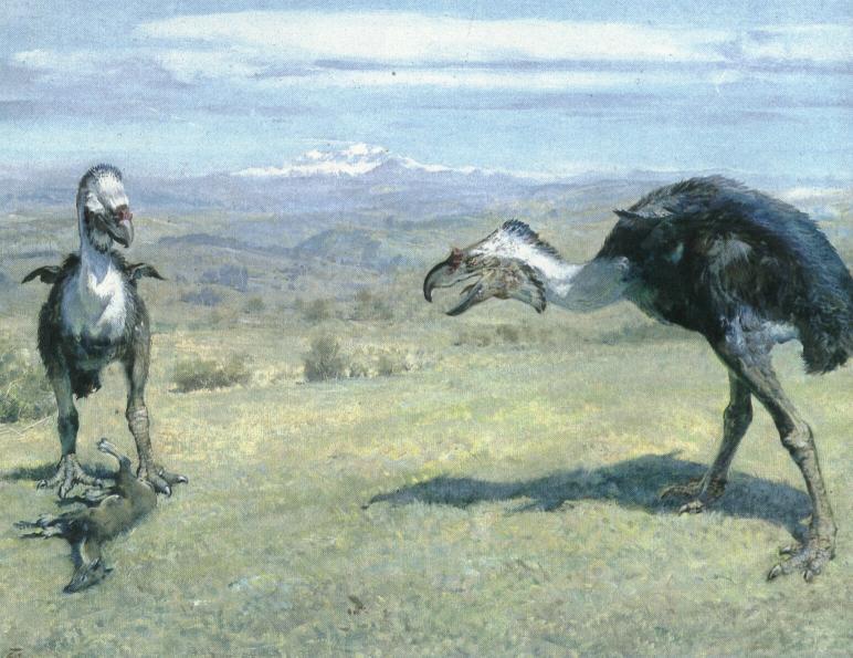 10. Phorusrhacids: The Terror Birds That Ran Down Their Prey