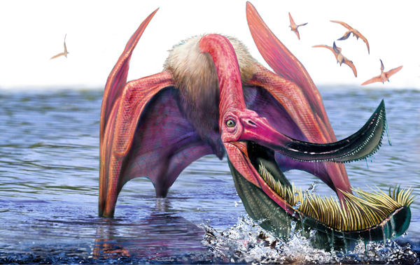 7. Pterodaustro: The Pink Flamingo Pterosaur Nobody Expected