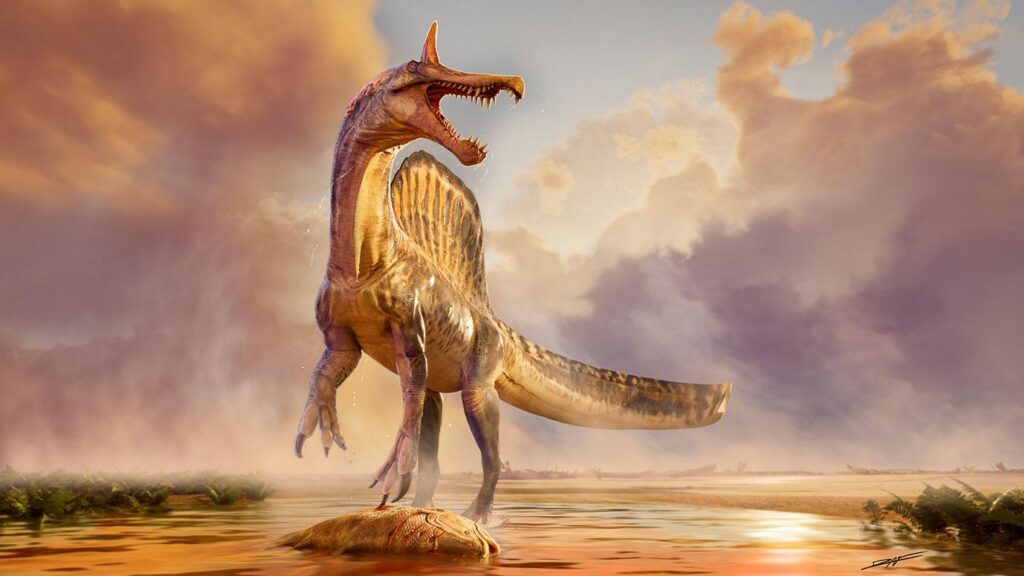 The New Discovery That Changes Everything: Spinosaurus mirabilis