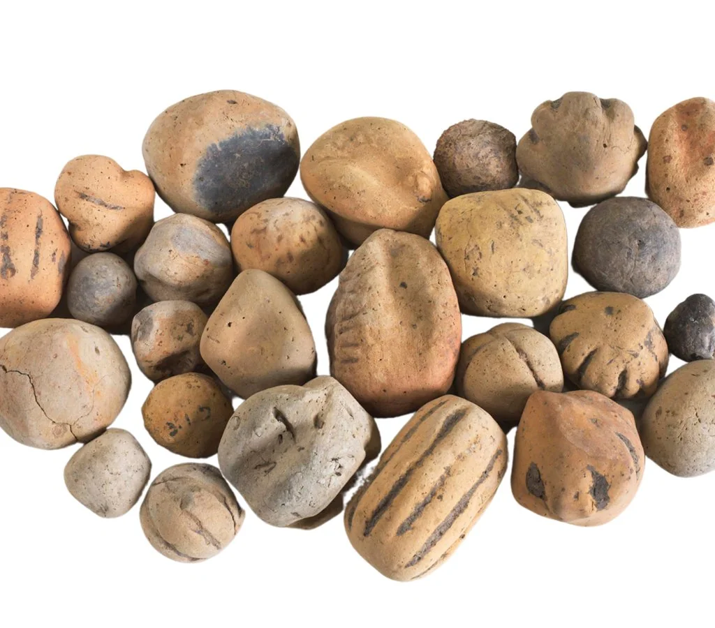 7. The People Who Lived Here Had a Surprisingly Rich and Diverse Diet