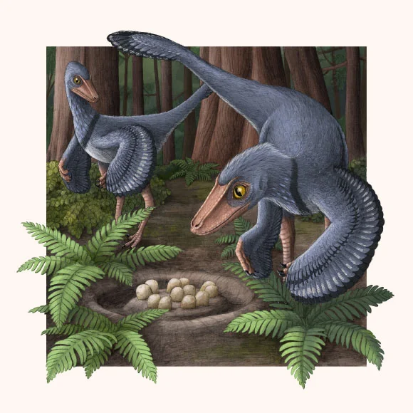 10. Troodontids Developed Advanced Contact Incubation Like Modern Birds