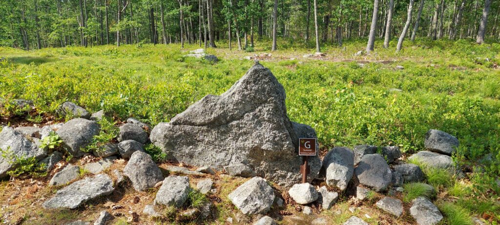 Barry Fell Claimed Ancient Languages Were Inscribed on the Stones