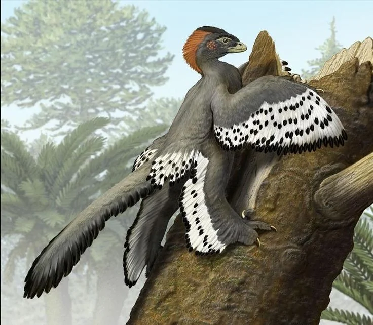 Anchiornis and Microraptor: The First Dinosaurs Brought Back to Life in Color