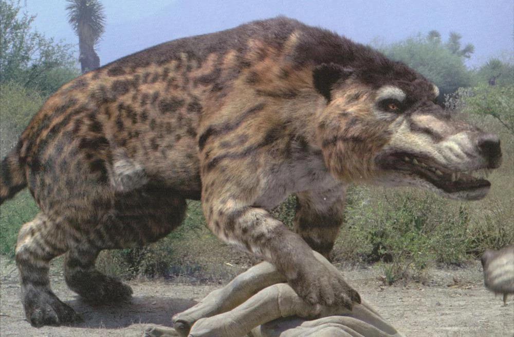 Andrewsarchus: The Terrifying Mystery Predator
