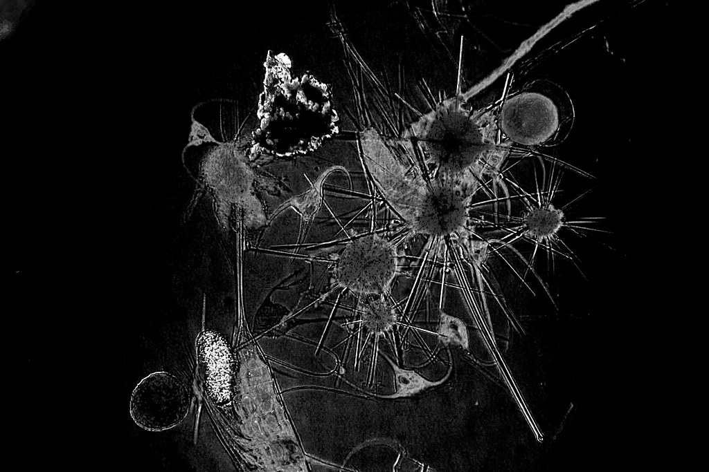 The Asteroid's Devastating Legacy