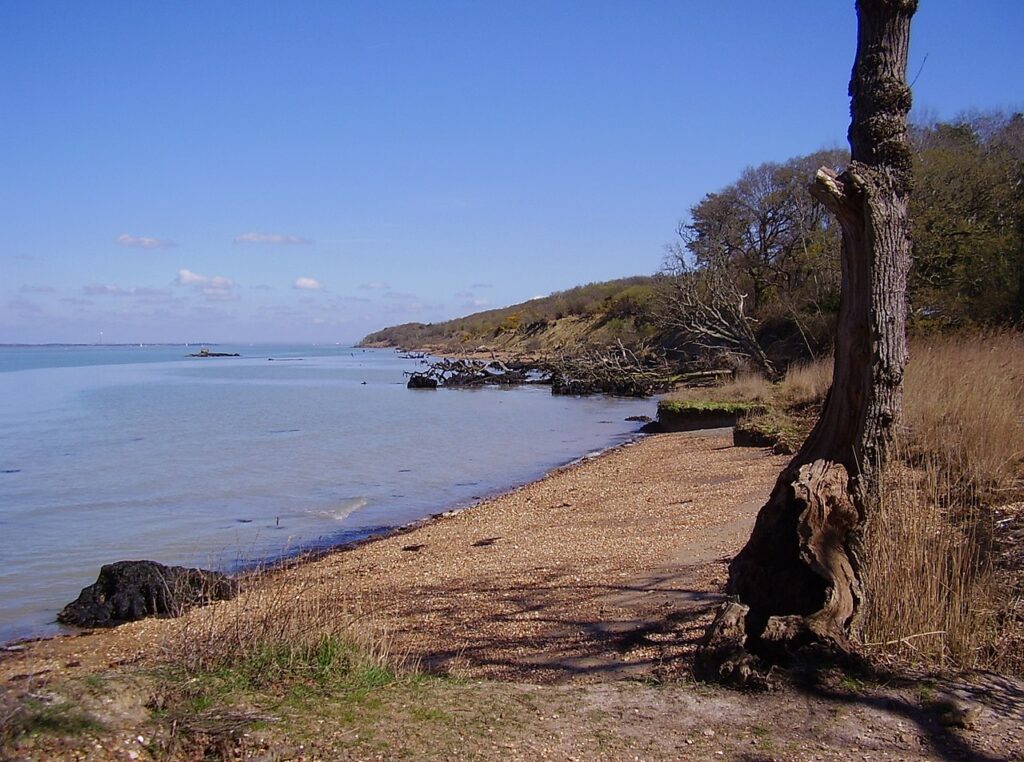 A Fossil-Rich Coastline Unlike Any Other