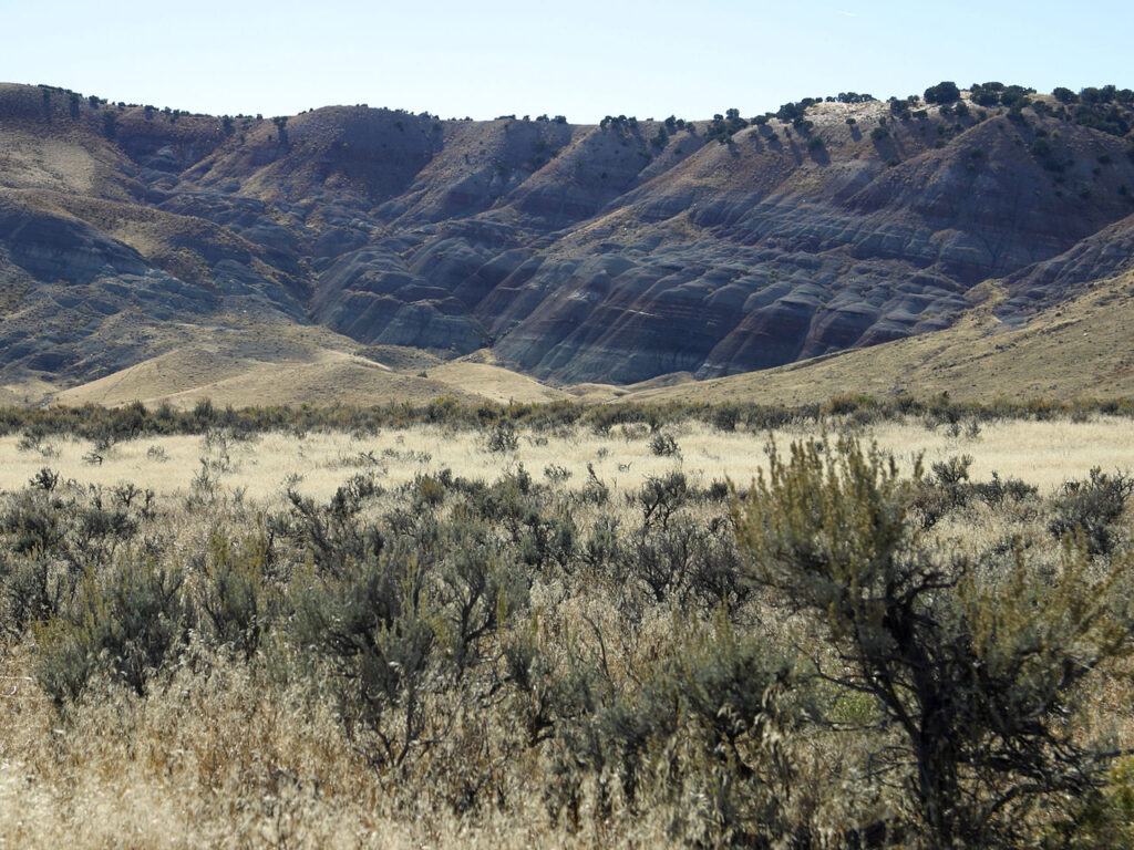2. The Morrison Formation, Colorado and Utah - The Jurassic Superstar
