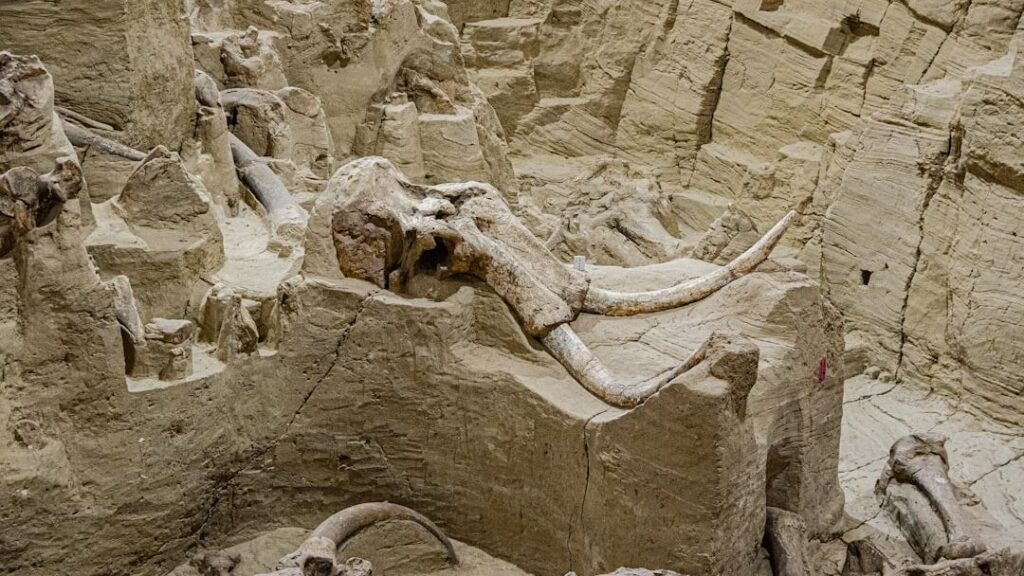 8 Remarkable Dinosaur Discoveries Made in the American West
