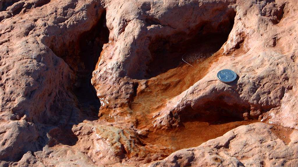 10 US Geological Formations That Hide Ancient Dinosaur Footprints