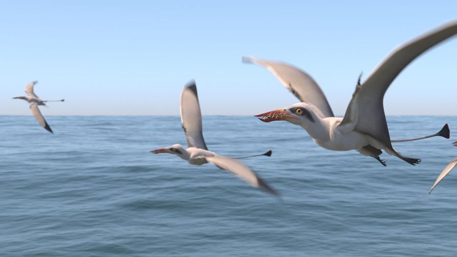 9 Ancient Creatures That Mastered Flight Before the Birds