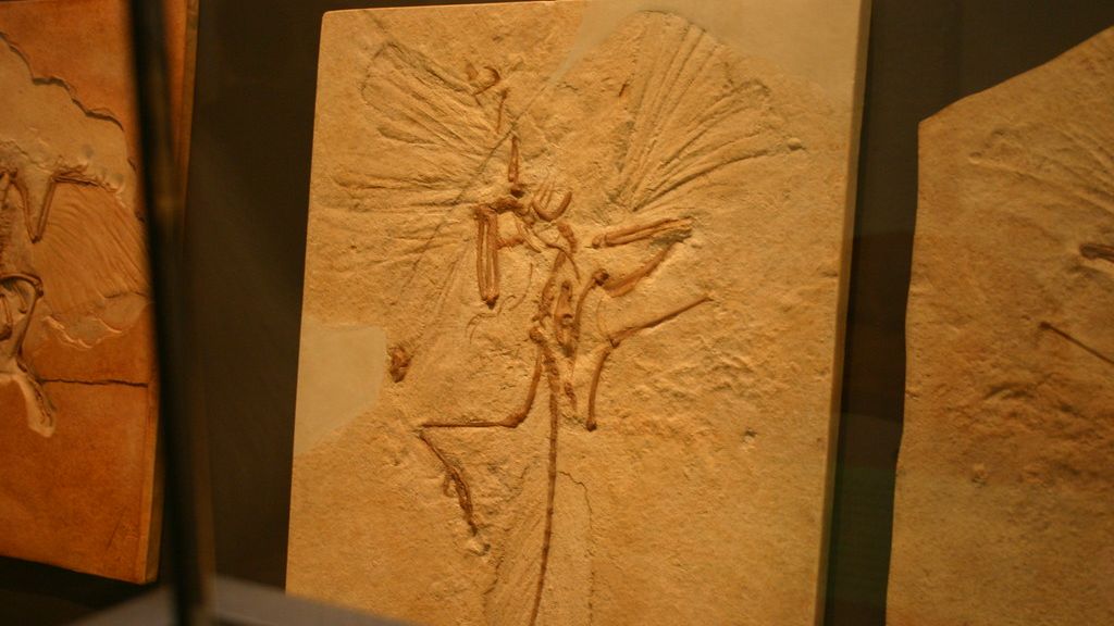 10 Theories About Why the Dinosaurs Went Extinct (Beyond the Asteroid)