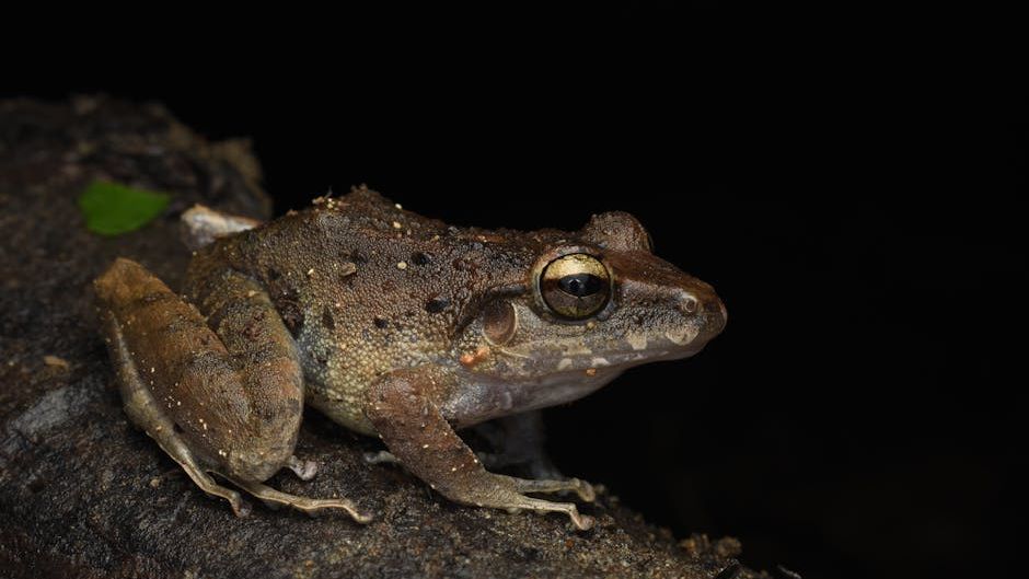 15 New Wildlife Discoveries That Are Redefining Evolution