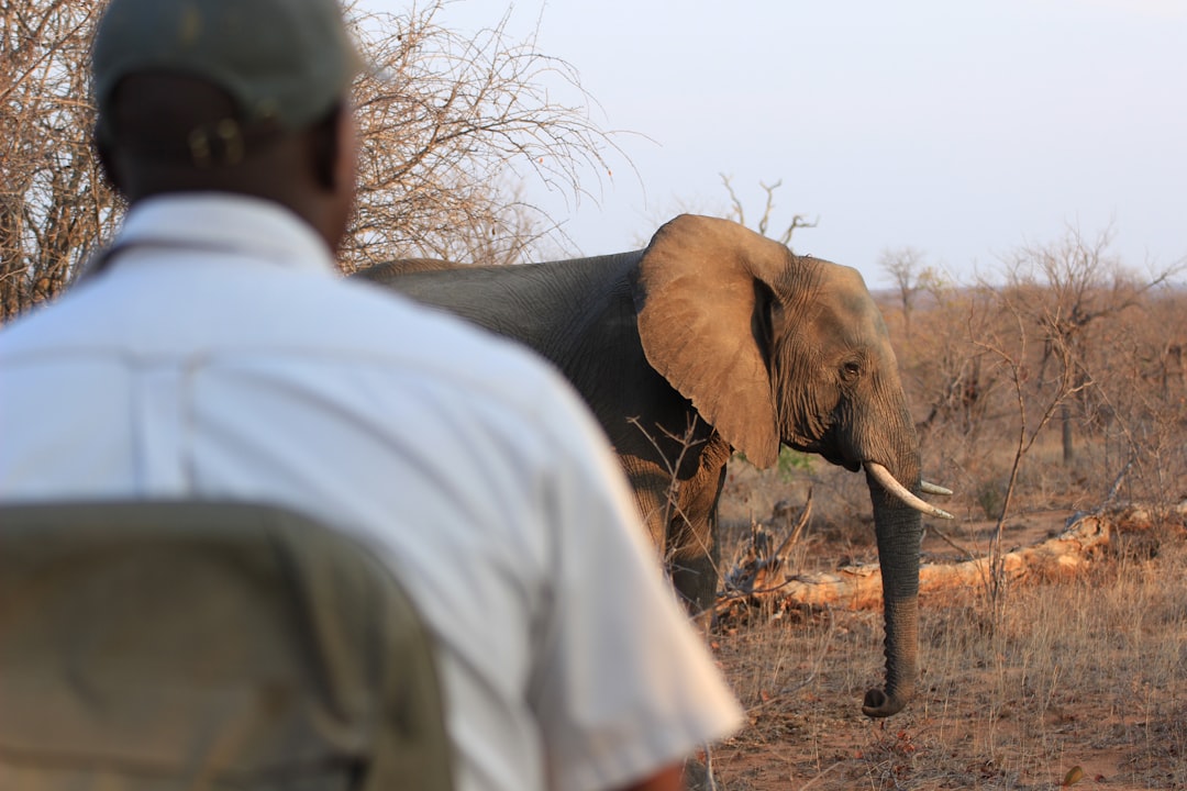 Conservation depends on rangers. Their wellbeing is often an afterthought
