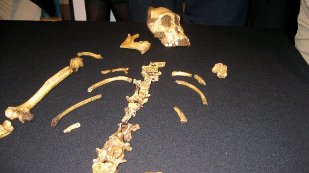 9 Unbelievable Archaeological Finds That Challenge What We Know About Early Humans