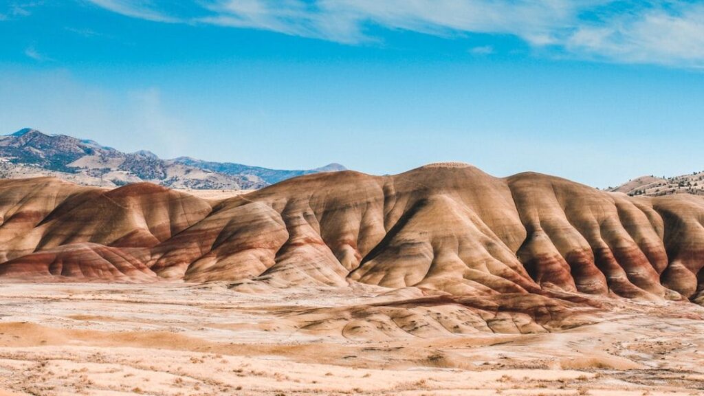 10 Incredible Fossil Sites You Can Visit in the United States