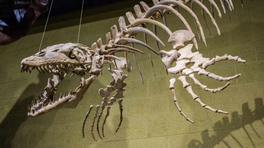 6 Prehistoric Marine Reptiles That Ruled the Ancient Oceans