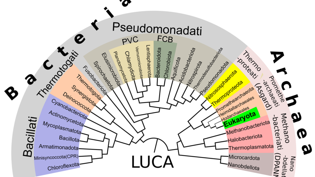 New Genetic Discoveries Are Rewriting the Tree of Life for Many Species