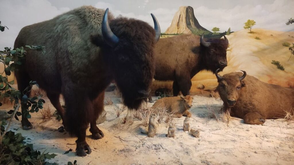 Early Human Migration Routes Were Defined by Ancient Animal Herds