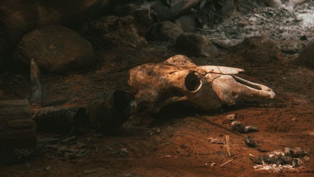 Ancient Burial Sites Offer New Perspectives on Human-Animal Bonds