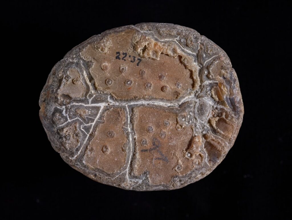 First Discovery of Maniraptoran Egg from the Upper Cretaceous Quantou Formation (Cenomanian), Songliao Basin, Northeast China