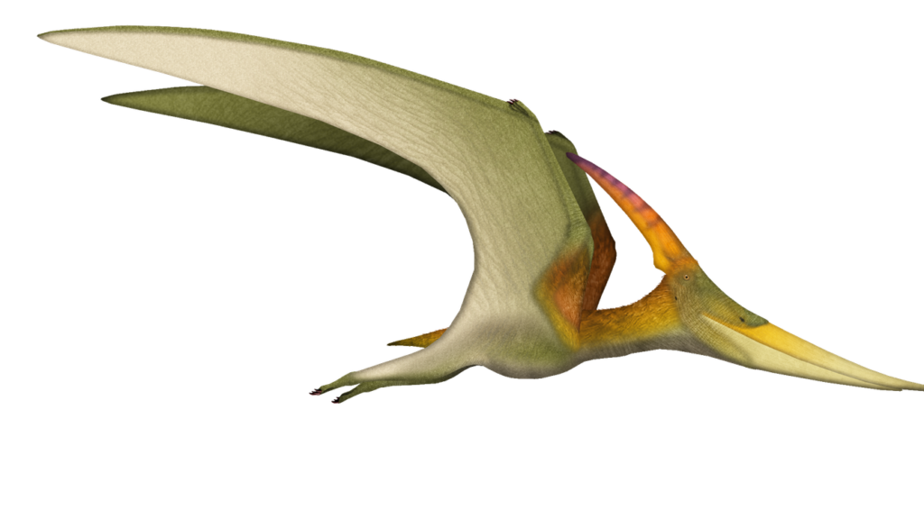 Ancient Earth Was Home To Flying Reptiles The Size of Small Airplanes