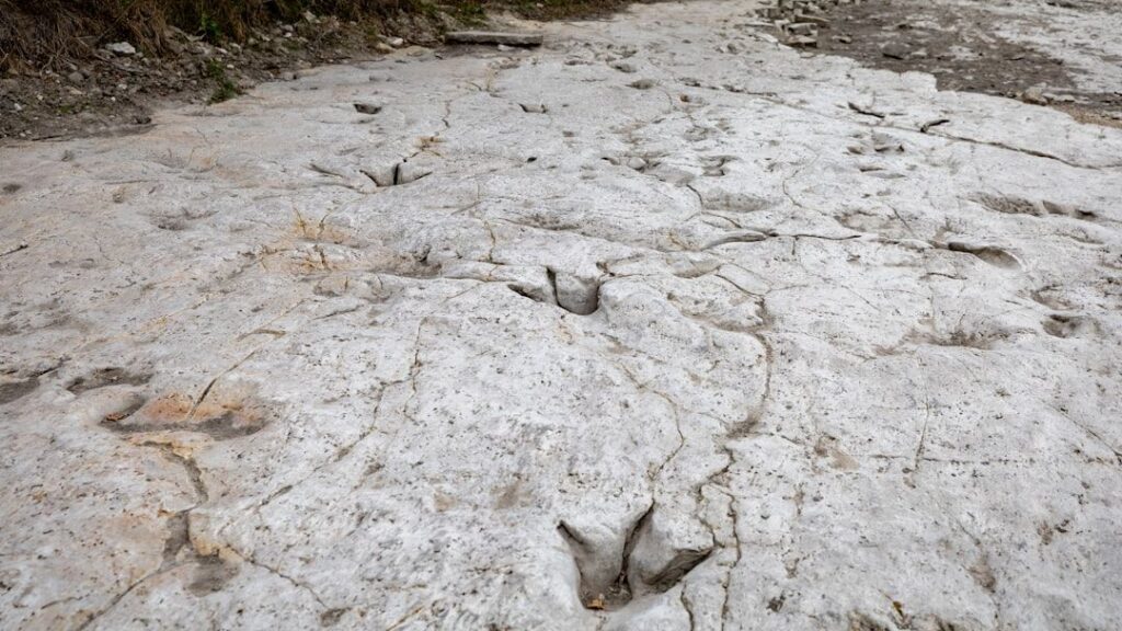 Paleontologists Just Discovered The Oldest Known Dinosaur Footprints