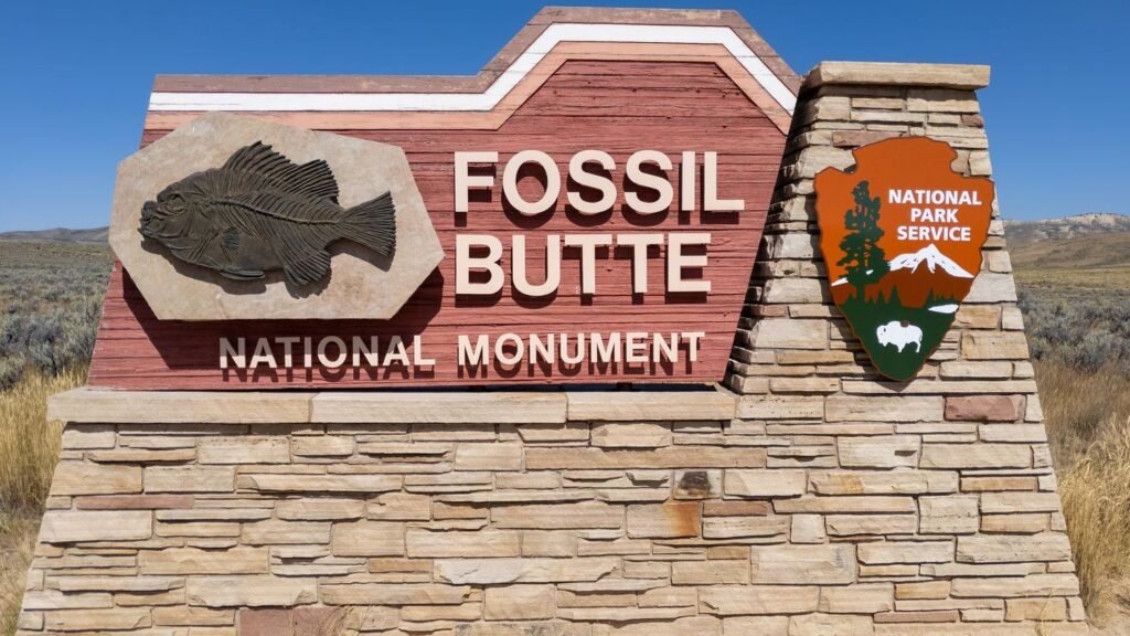 Unearth 10 Hidden Marvels of North American Paleontology Sites