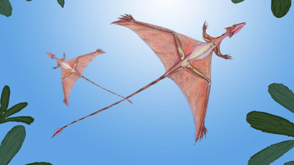 5 Prehistoric Creatures That Mastered Flight Long Before Birds Took to the Skies