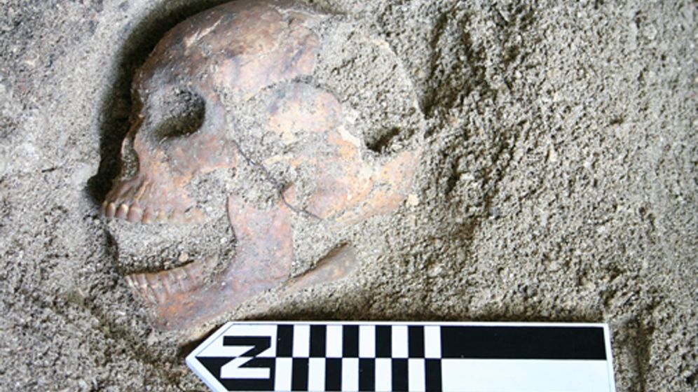 10 Mind-Blowing Facts About the Earth's Earliest Human Ancestors