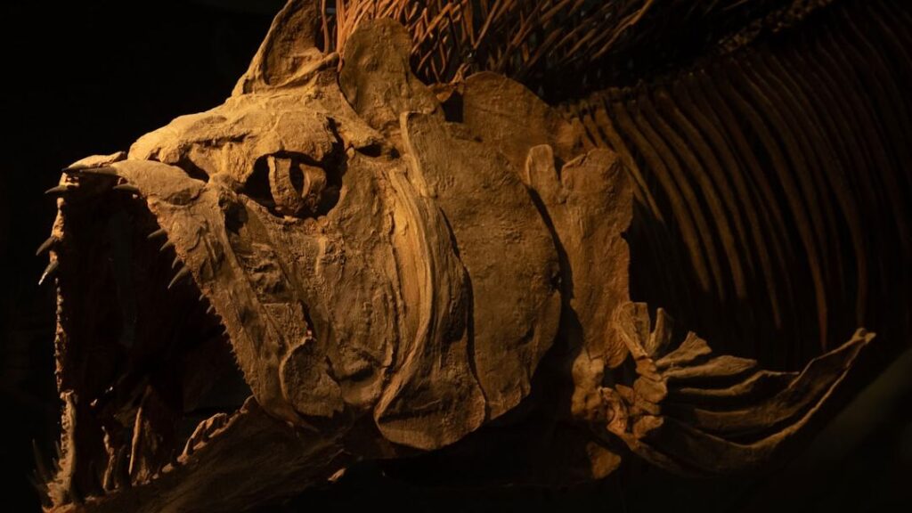 10 Astounding Discoveries That Redefined Our Understanding of Prehistoric Life