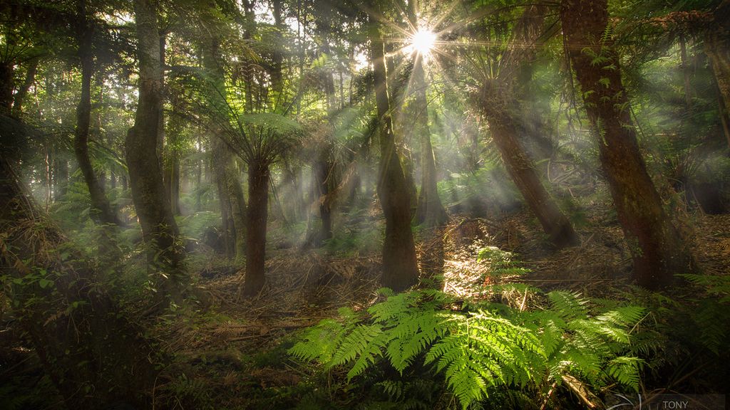 8 Fascinating Prehistoric Plants That Fueled Earth's Largest Herbivores