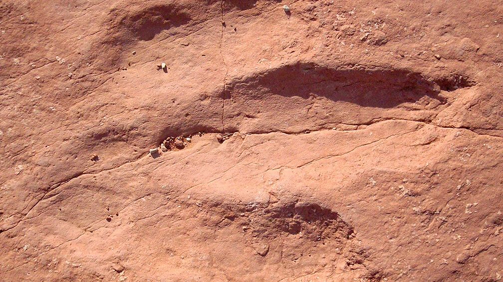 7 Hidden Clues About Dinosaur Behavior Found in Ancient Rock Formations