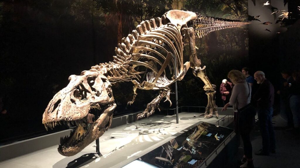 5 Ancient Theories About Dinosaurs That Still Hold Truth Today