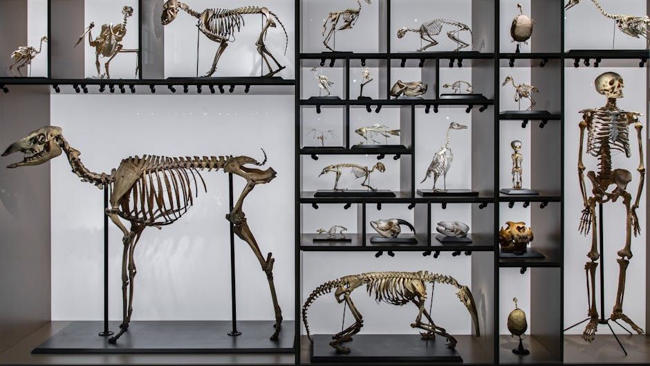 6 Pivotal Moments in Earth's Evolutionary History You Won't Believe