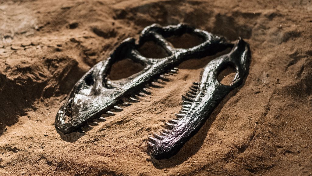10 Astounding Fossil Discoveries That Rewrote Paleontology Textbooks