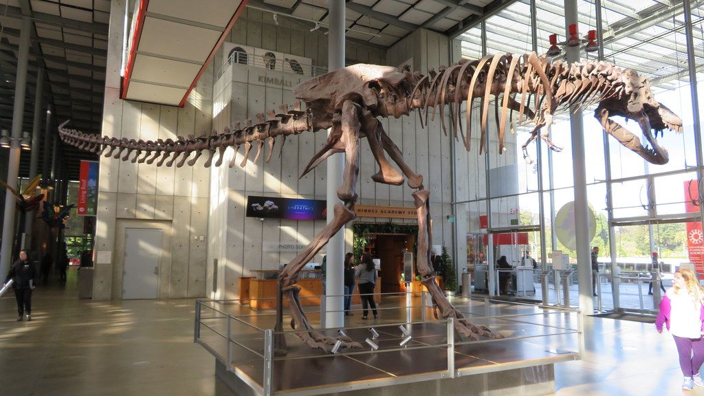 10 Unexplained Mysteries of the Dinosaur Age Still Baffling Scientists