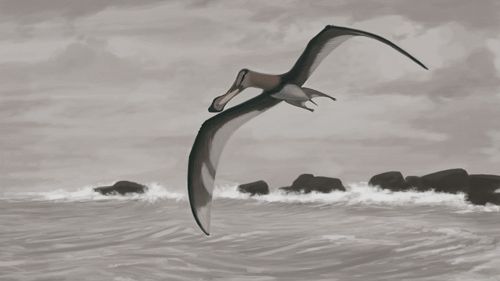 6 Zodiac Signs That Embody the Grace of a Pterodactyl